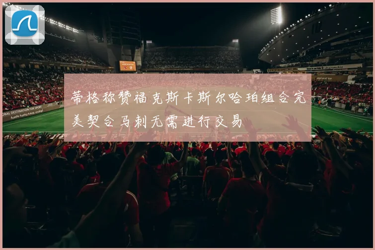 蒂格称赞福克斯卡斯尔哈珀组合完美契合马刺无需进行交易