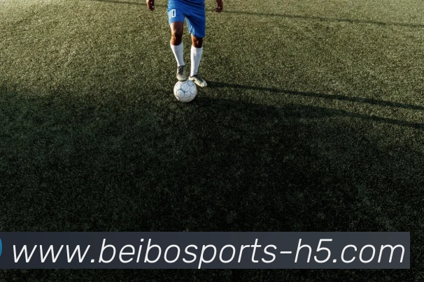 贝博体育APP 封面图