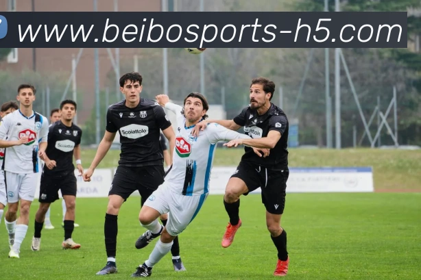 数据防护可视化